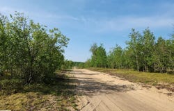 4935 LINDSEY LANE, GAYLORD, MI 49735