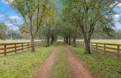 1131 Greak Road, Sheridan, TX 77475