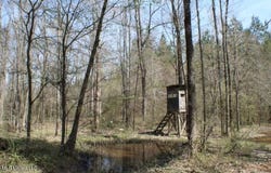 Walnut Road, Carthage, MS 39051