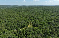 170624000000001 CR 630, Gainesville, MO 65655