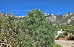 122 6th Avenue, Ouray, CO 81427