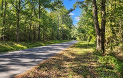 Will Thompson lot: 3, Picayune, MS 39466