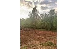 4855 Walnut Creek Road, Scottsville, KY 42164