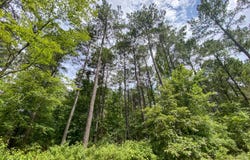 209 Eagle Pine Lane, Broken Bow, OK 74728