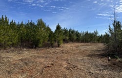 018 Dozier, Ellaville, GA 31806