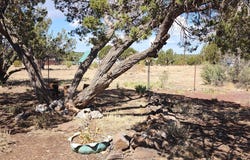 1808 Fox Circle, Show Low, AZ 85901