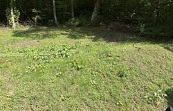 93 Schoolhouse Hollow Road, David, KY 41616