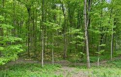 V/L Gardner Road, Galien, MI 49113