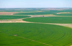 Busby Farms ±1,693.16 Ac. Farm, Hart, TX 79027