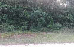 170 NE 169TH Avenue, SILVER SPRINGS, FL 34488