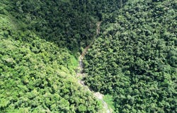 Finca Collores, Barrio Mameyes Abajo, Utuado, 00650
