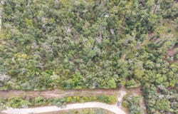 114TH CIR, Live Oak, FL 32060