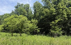 Edgar Basham Rd, Irvington, KY 40146