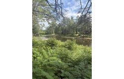 LOT 223 WEST RIVER RD, NAUBINWAY, MI 49762