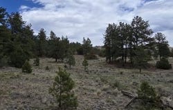 TBDD CR 634.4, Gardner, CO 81040