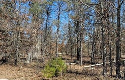 Site 10 Lumberjack Court, Grayling, MI 49738-1063