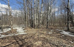 Lot 421 Northridge Drive, Mancelona, MI 49659