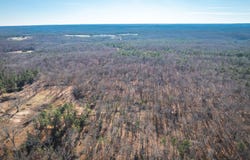 Deason Drive-Tract 1, Licking, MO 65542