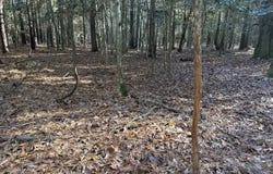 0 Elmore Rd, Painter, VA 23420