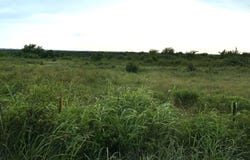 0004 CR 3210, Elmore City, OK 73433