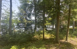 TBD EN-A-WEN-DA-WIN, Watersmeet, MI 49969