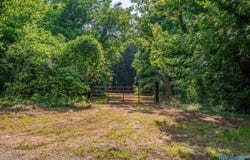 50 Acres Scenic Highway, Attalla, AL 35954
