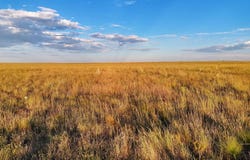 County Road U, Walsh, CO 81090