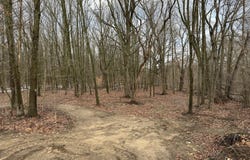 5555 128th Avenue, Fennville, MI 49408