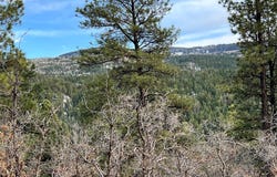 private dr lot: R-56, Chama, NM 87520