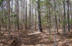 Lot 10 Blackberry Bend, Elberton, GA 30635