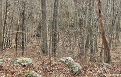 Morgan Court, Lords Valley, PA 18428