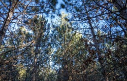 Lot 4 11th Drive, Friendship, WI 53934