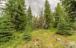 499 Haskill Ranch Road, Kila, MT 59920