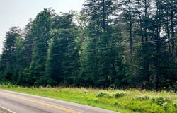 2.282 Acre Marshall Graves Road, Yanceyville, NC 27379