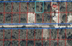 NE 69TH Street, WILLISTON, FL 32696