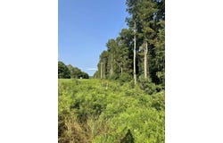 XXX HWY 70, Kirby, AR 71950