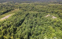 39 Acres 55th Street, Pullman, MI 49450