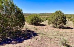 Tbd Co Rd 8269 Lot 150, Concho, AZ 85924