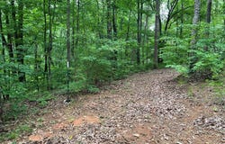 198 Log Round Mountain Trail, Ellijay, GA 30540