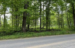 L4.1 Tripoli Road, Kingsbury, NY 12839