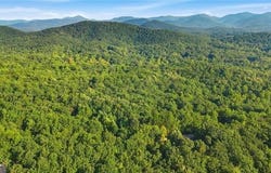 POND VIEW Trail, Cleveland, GA 30528