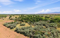 MRGCD MAP 124 TRACT 24A1A,22A,23A, Veguita, NM 87062