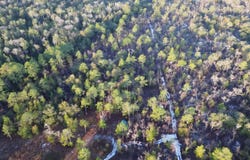 McCall Bridge Road, Quincy, FL 32351