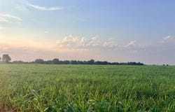 366 County Road 123, TX 76518