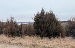 Lot 21 Ridge Road, Crofton, NE 68730