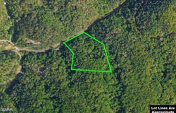 4138 Richardson Cove Road, Sevierville, TN 37876