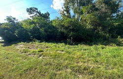0 Hwy 51, Ariton, AL 36311