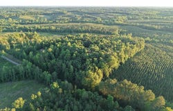 Barton Rd, Green Bay, VA 23942