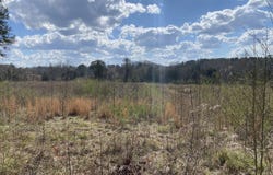 0 Highway 25, Vincent, AL 35178