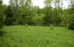 Cheningo Solon Pond Road, Cincinnatus, NY 13040